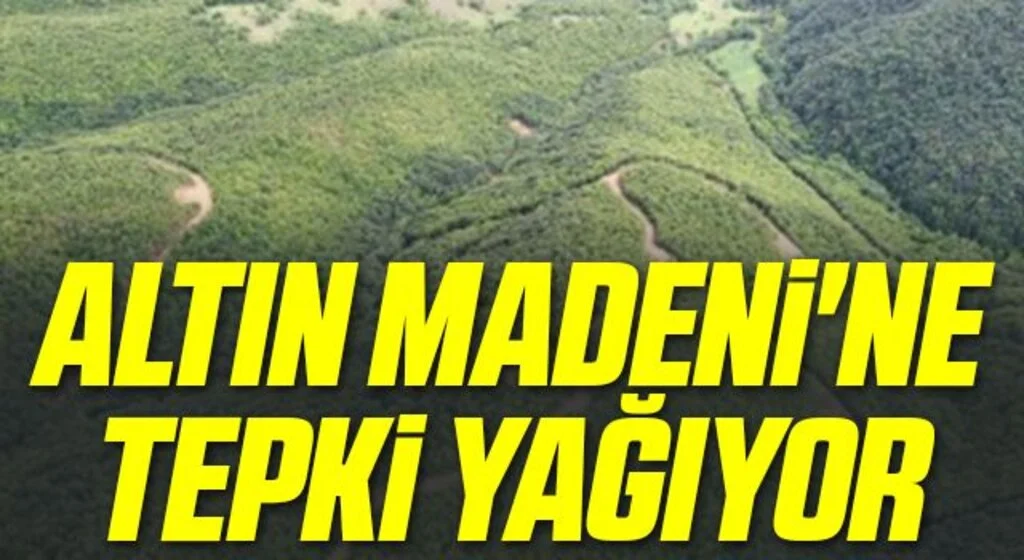 Altın Madeni'ne tepki yağıyor