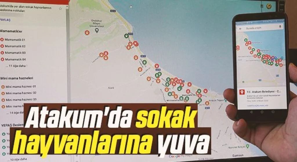 Atakum'da sokak hayvanlarına yuva