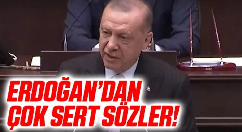 Cumhurbaşkanı Erdoğan Akşener ve Türkkan'a 'küfür' tepkisi