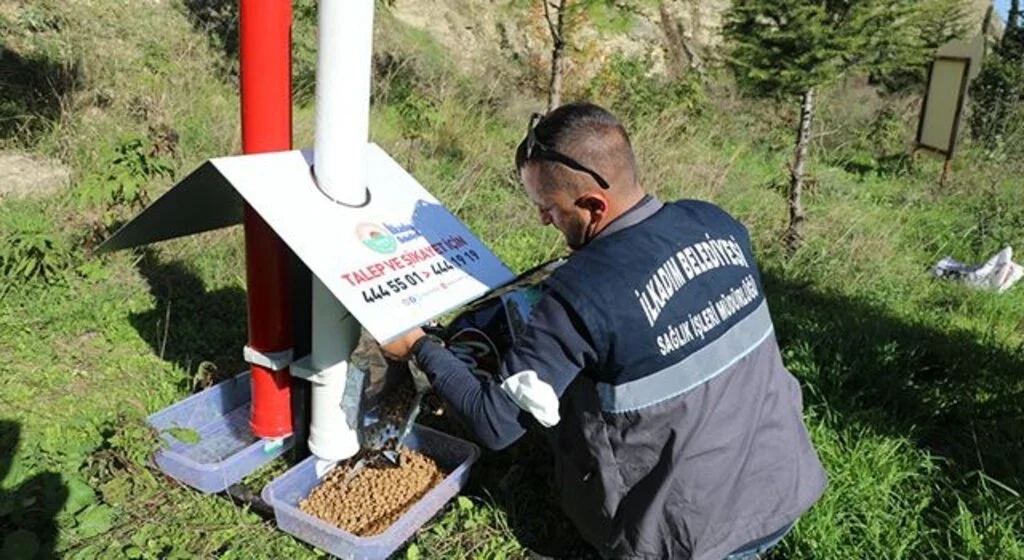 İlkadım’dan sokak hayvanlarına özel çalışma