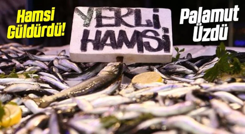 Karadeniz'de bu yıl hamsi güldürdü palamut üzdü