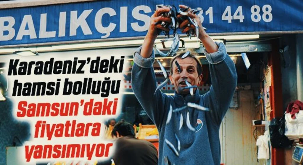 Karadeniz’deki hamsi bolluğu Samsun’daki fiyatlara yansımıyor