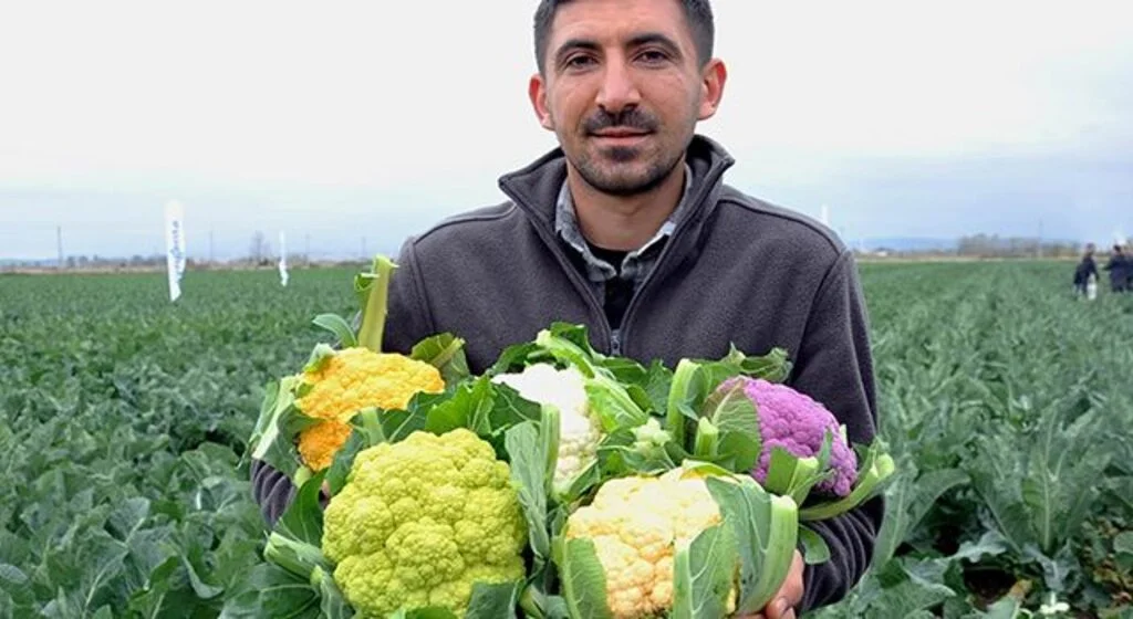 Karnabaharlar renklendi, talebe yetişemiyorlar
