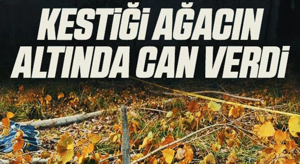 Kestiği ağacın altında can verdi