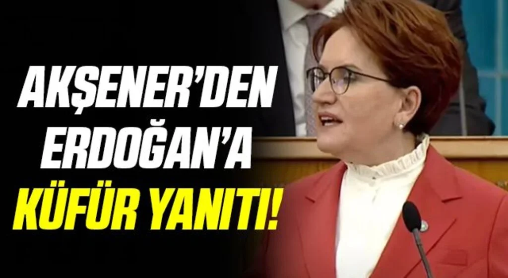 Meral Akşener'den Cumhurbaşkanı Erdoğan'a 'küfür' yanıtı