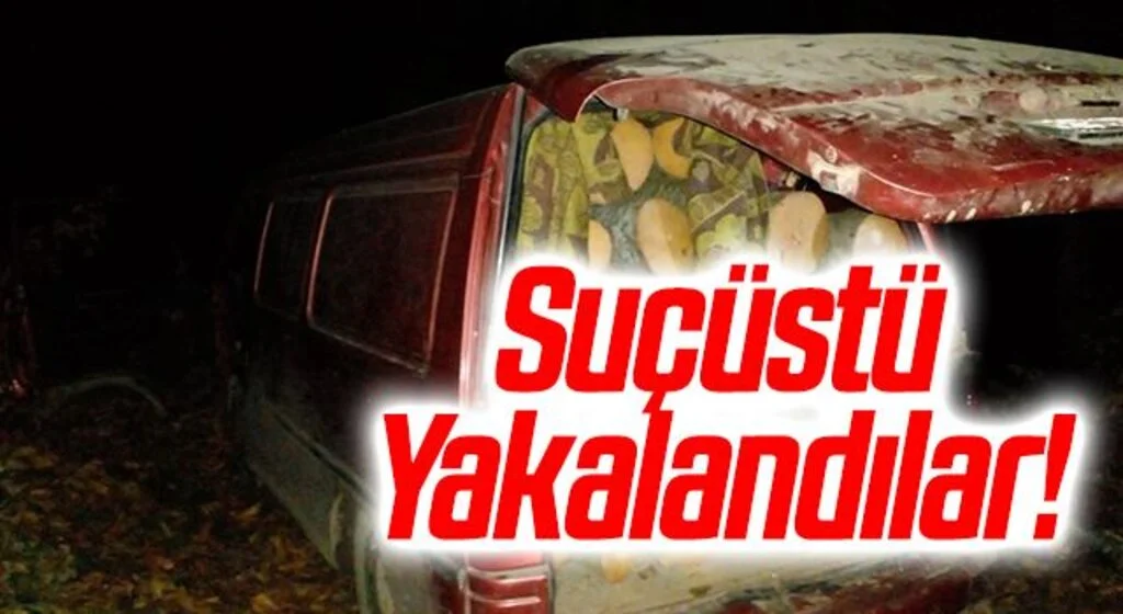 Minibüste 2 ton kaçak odun ele geçirildi