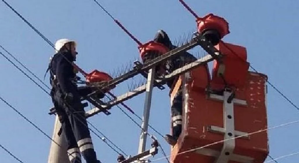 OEDAŞ sayesinde Göçmen Kuşlar güvende