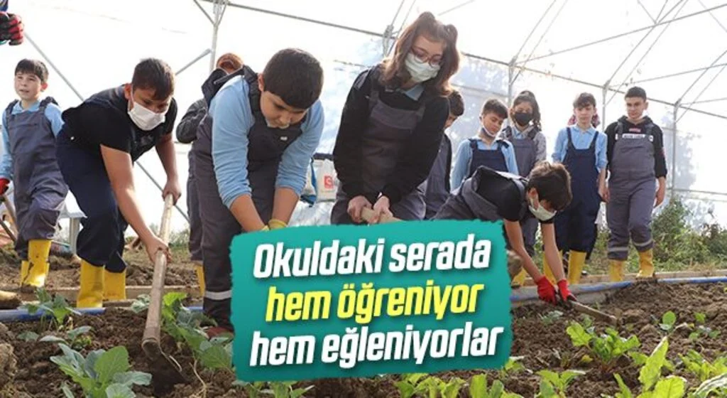 Okuldaki serada hem öğreniyor hem eğleniyorlar