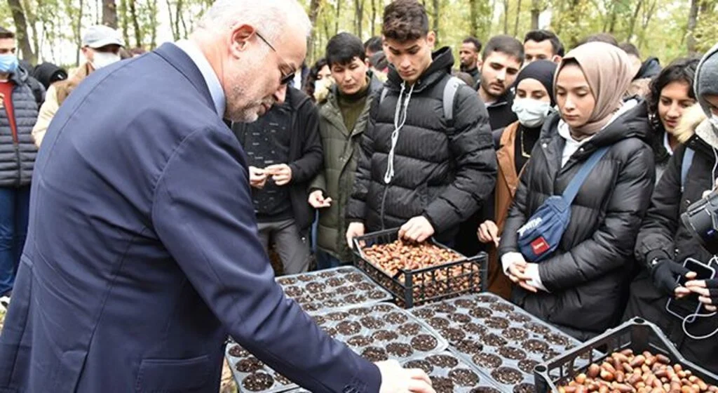 OMÜ Kurupelit Kampüsü'nde 'meşe palamutları' toprakla buluştu
