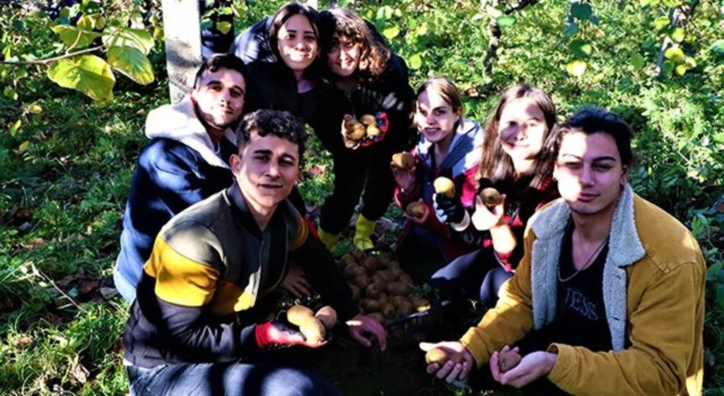 OMÜ’de uygulamalı eğitimde hasat zamanı