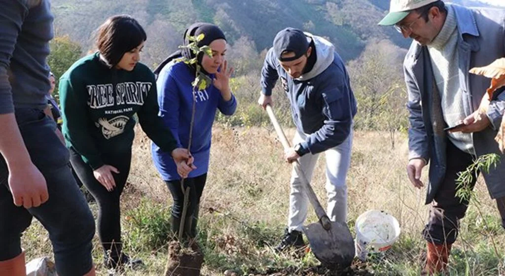 OMÜ'lü öğrenciler fındık fidanlarını toprakla buluşturdu