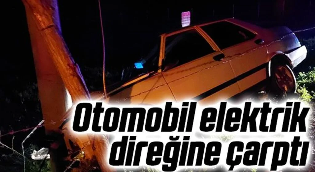 Otomobil elektrik direğine çarptı: 1 yaralı