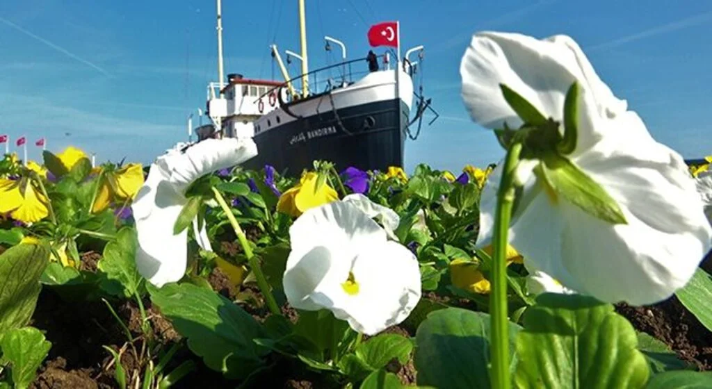 Samsun kışın da çiçek bahçesi