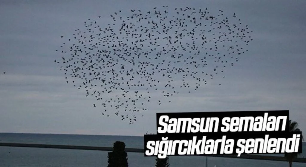 Samsun semaları sığırcıklarla şenlendi