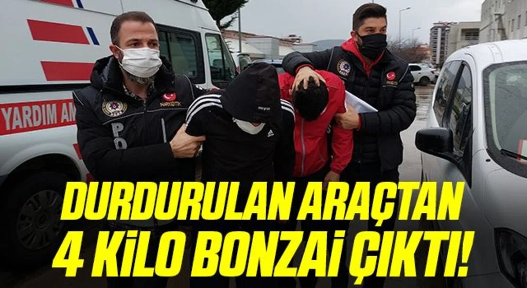 Samsun'da 4 kilo bonzai ele geçirildi: 4 gözaltı