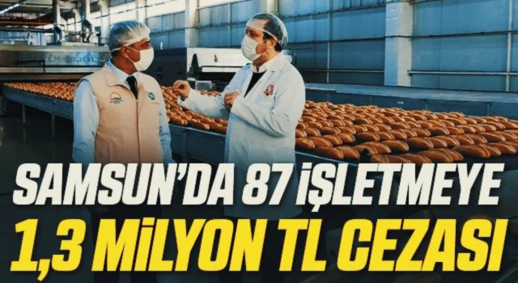 Samsun’da 87 işletmeye 1,3 milyon TL idari para cezası