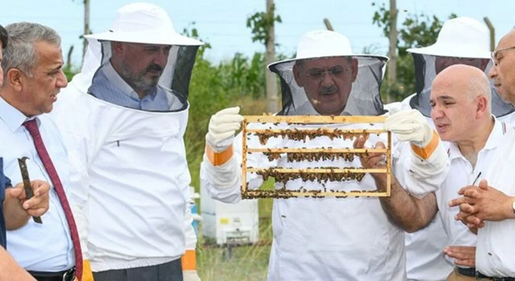 Samsun’da arıcılık gelişiyor: 332 arıcıya 1000 ana arı desteği