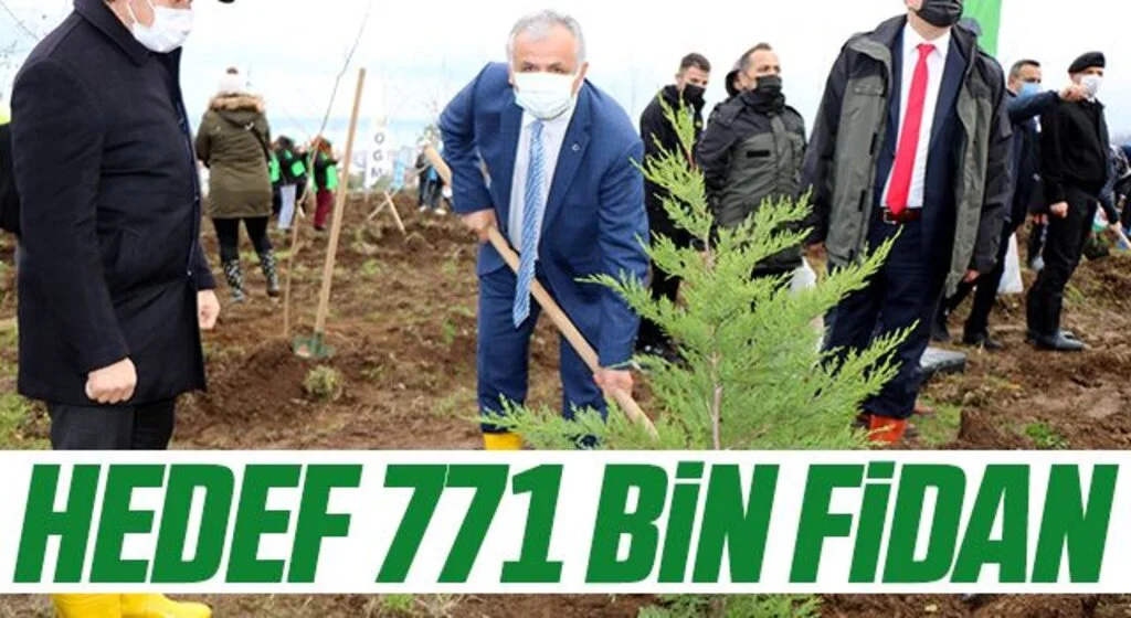 Samsun’da fidanlar toprakla buluştu: Hedef 771 bin fidan