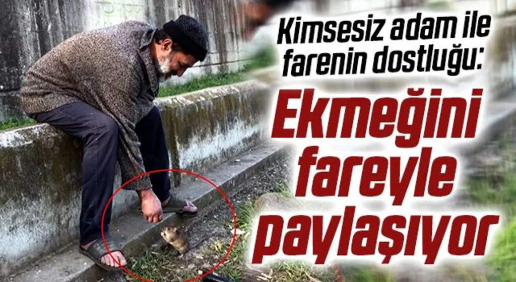 Samsun'da kimsesiz adam ile farenin dostluğu: Ekmeğini fareyle paylaşıyor