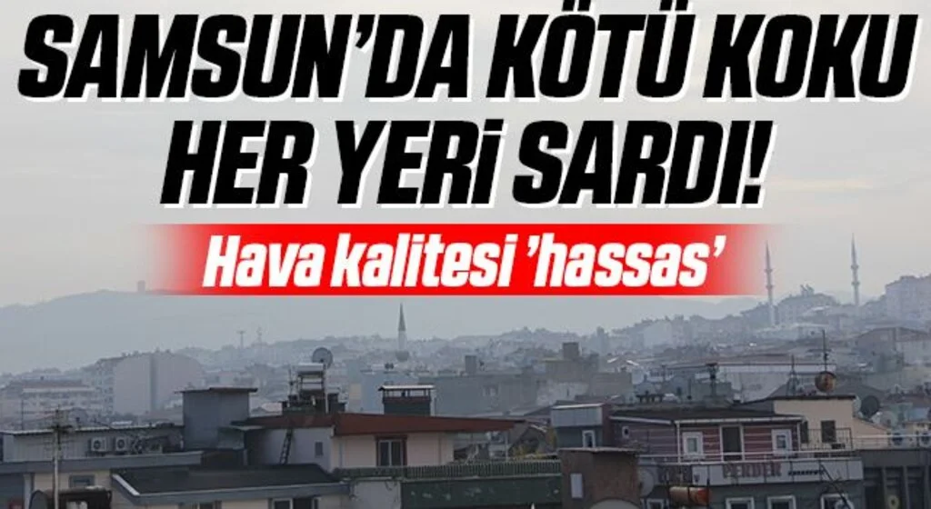 Samsun'da pus ve azot kokusu: Hava kalitesi ’hassas’