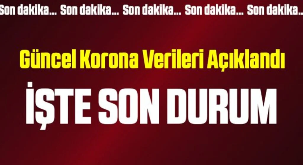 Son Dakika: 11 Kasım koronavirüs tablosu açıklandı
