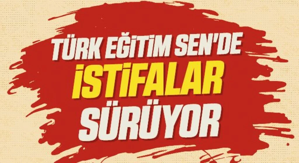 Türk Eğitim Sen'de istifalar sürüyor