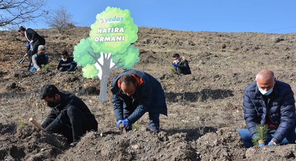 YEDAŞ çalışanları 10 bin fidan dikti