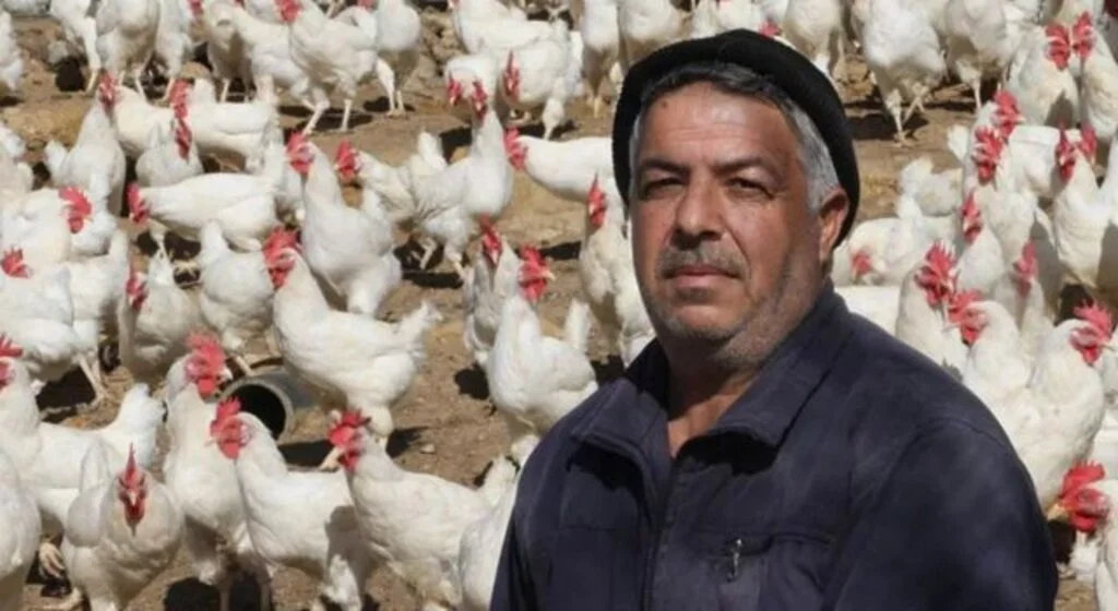 Artan yem fiyatlarına kızdı, bin 500 tavuğu ücretsiz dağıtıyor