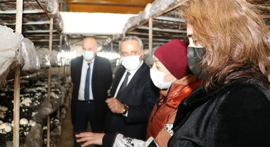 Asarcık'ta 'Ekolojik Tarım' eğitimi