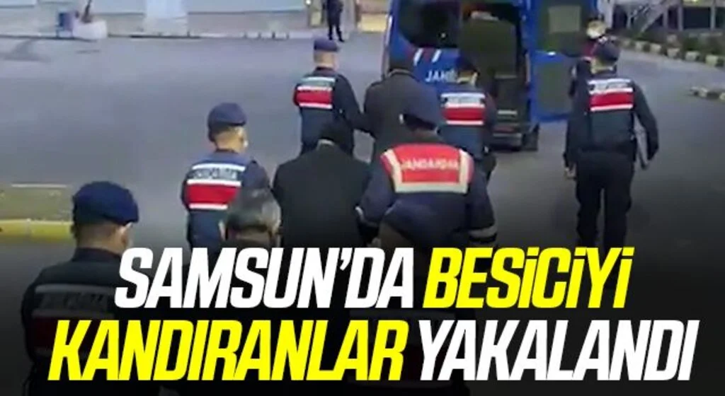 Besiciyi kandırıp 11 büyükbaş hayvanını dolandıran 3 şüpheli tutuklandı