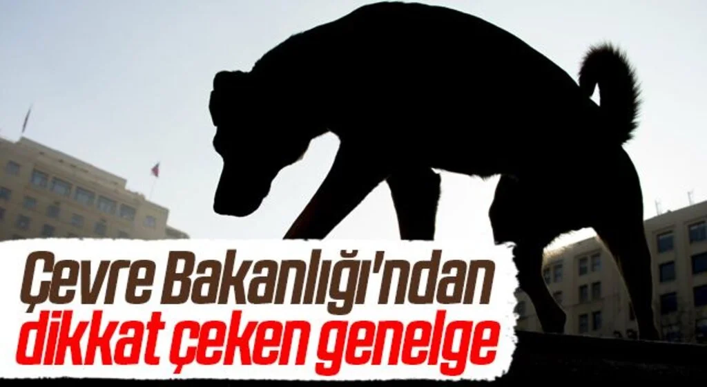 Çevre Bakanlığı'ndan dikkat çeken genelge