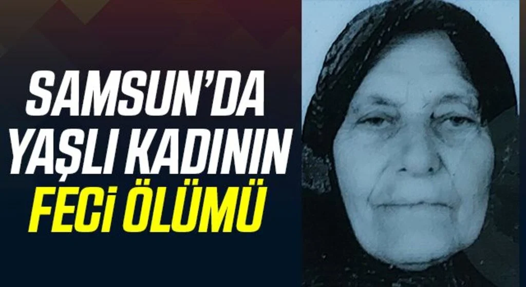 Ekmek aracının çarptığı yaşlı kadın hayatını kaybetti