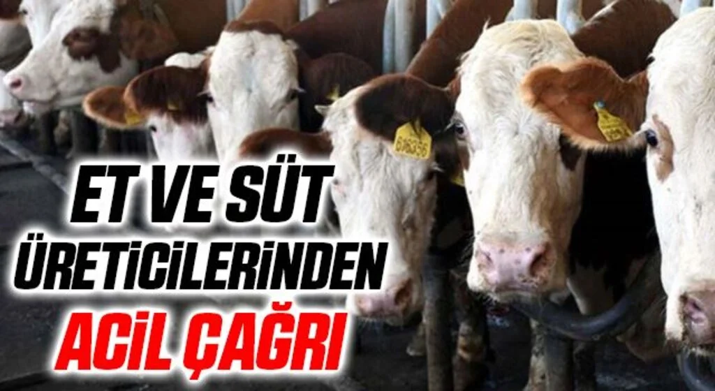 Et ve süt üreticilerinden acil çağrı