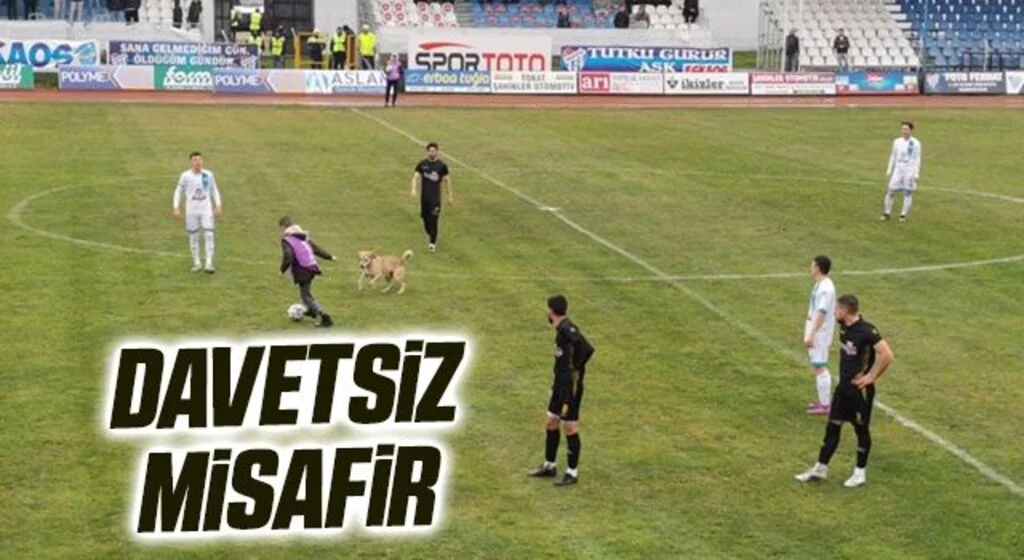 Evcispor Maçında Davetsiz Misafir