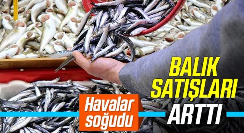 Havalar soğudu, balık satışları arttı