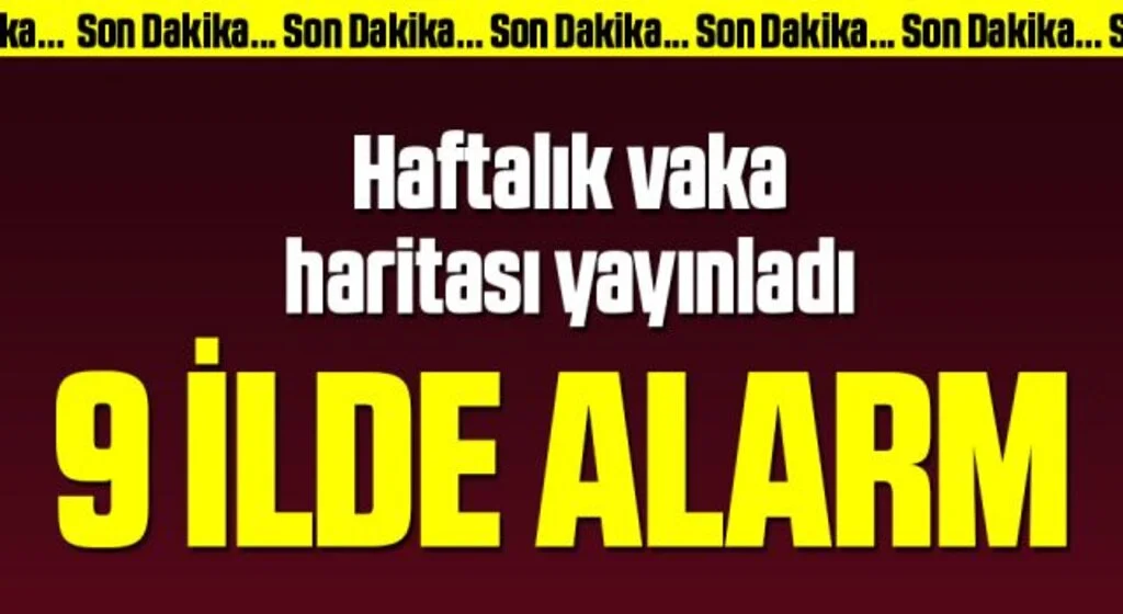 İşte vaka yoğunluğunun en çok arttığı 9 il
