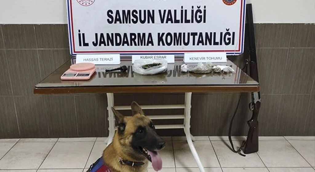 Jandarmadan uyuşturucu operasyonu: 1 gözaltı