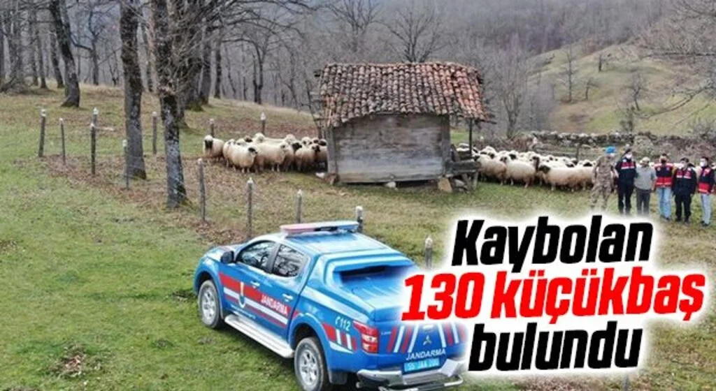 Kaybolan 130 küçükbaş hayvanı jandarma buldu