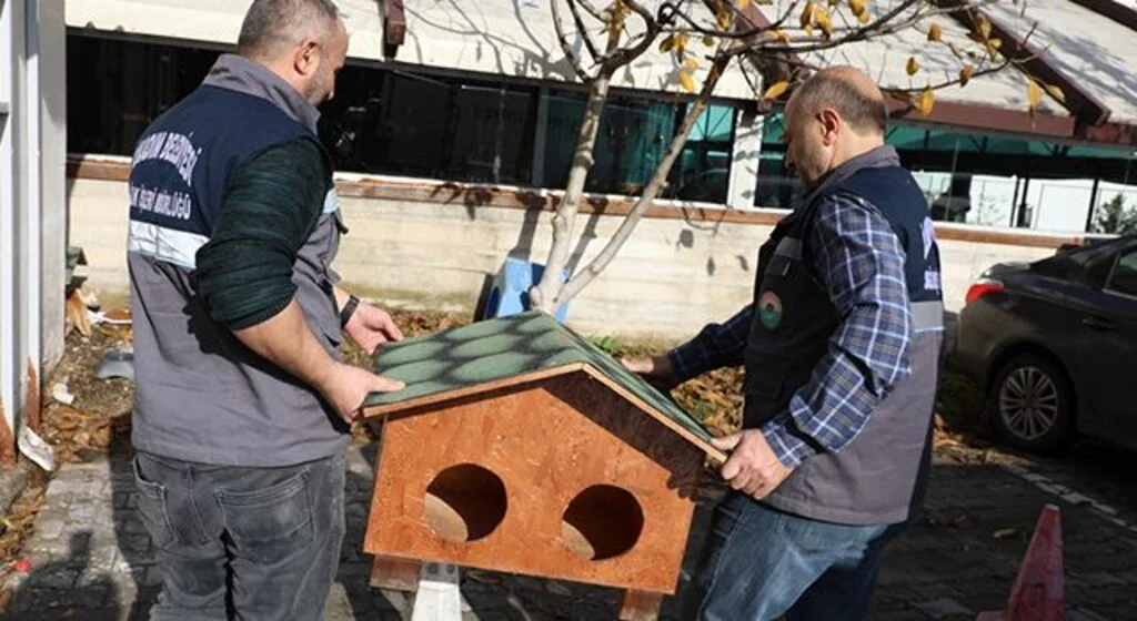 Kedi Evi Projesi İlkadım'da Hayat Buldu