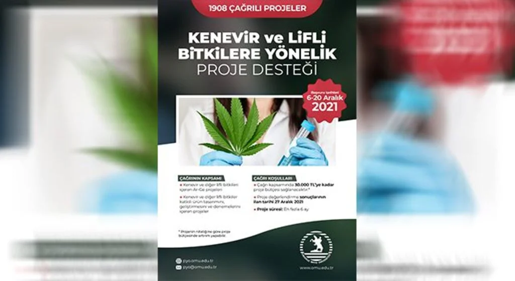 Kenevir için proje çağrısı