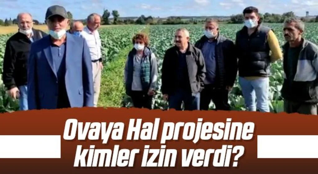 Ovaya Hal projesine kimler izin verdi?