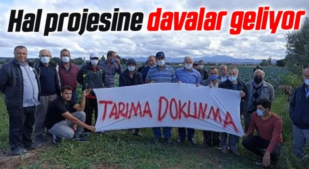 Samsun Bafra'da Hal projesine davalar geliyor