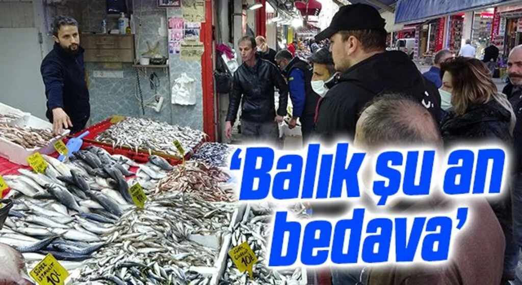 Samsun'da fırtınada artan balık fiyatları yarı yarıya düştü