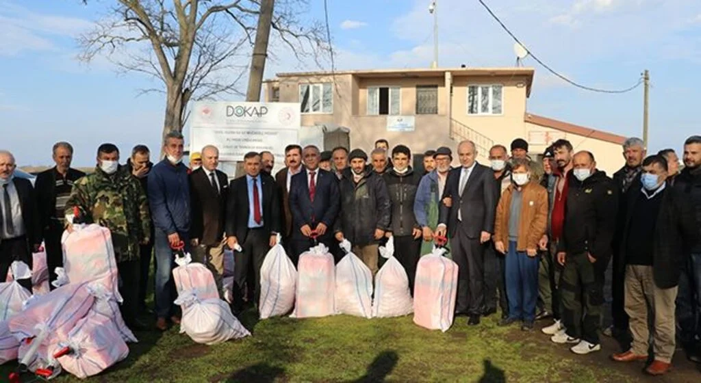 Samsun'da İsrail sazanı ile mücadele başladı