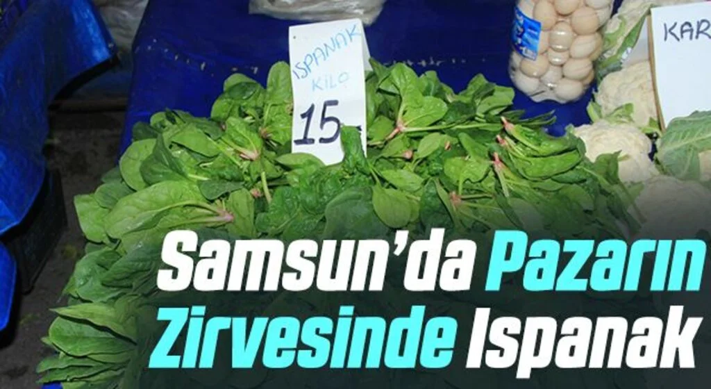 Samsun’da pazarın en ucuzu soğan, en pahalısı ıspanak