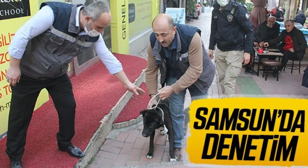 Samsun'da polisten yasaklı ırk köpek denetimi