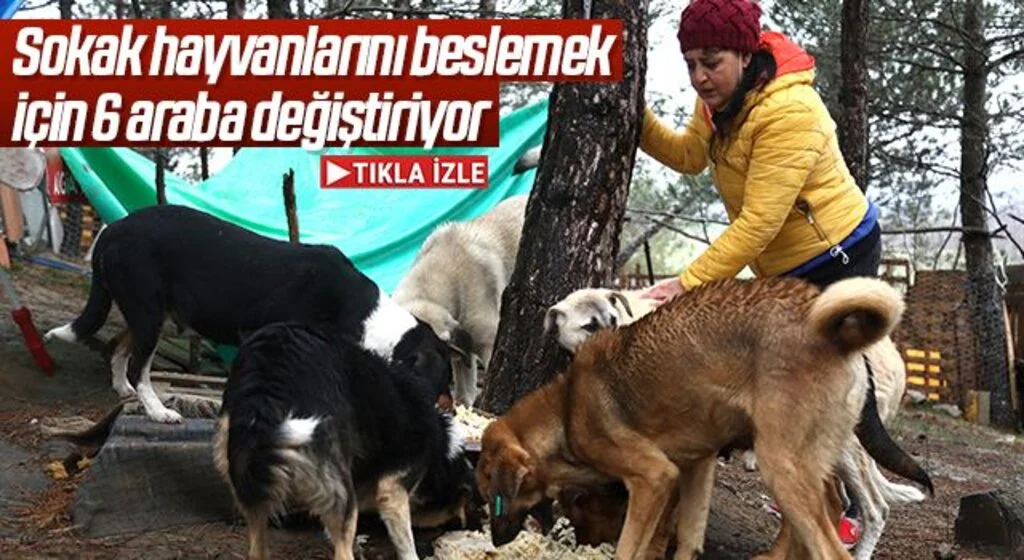 Sokak hayvanlarını beslemek için 6 araç değiştirip 120 kilometre yol katediyor