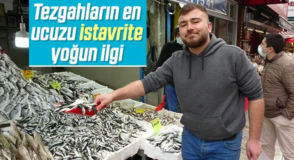 Tezgahların en ucuzu istavrite yoğun ilgi