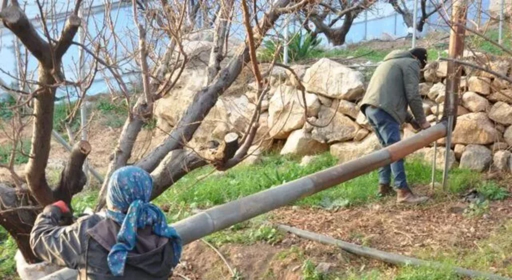 24 saat nöbet tutuluyor! Kilosu 500 liradan satılıyor, örtü altında saklıyorlar