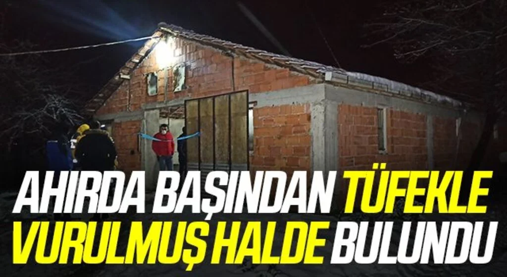 Ahırda başından tüfekle vurulmuş halde bulundu